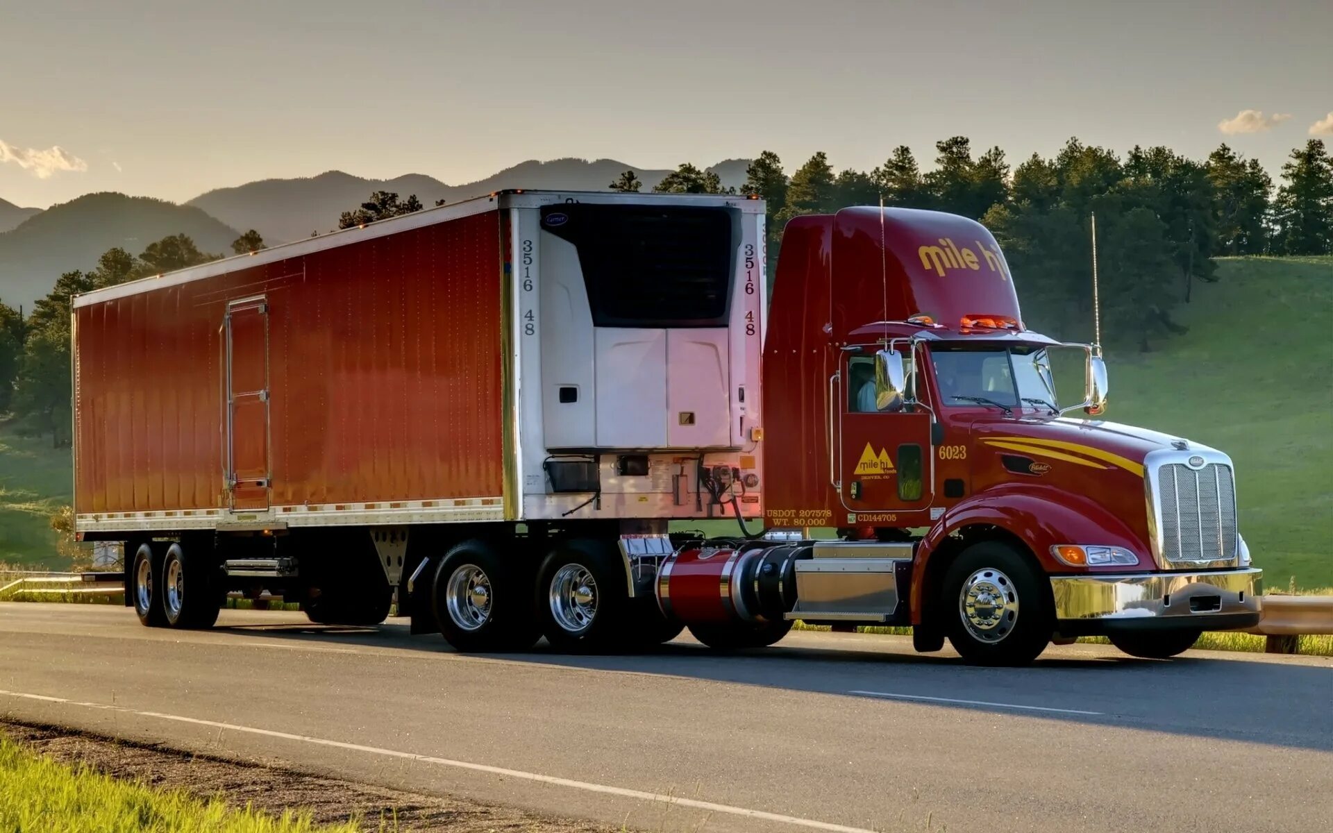 Трак Петербилт 384. Фредлайнер Петербилт. Американские траки Петербилт. Peterbilt 589.