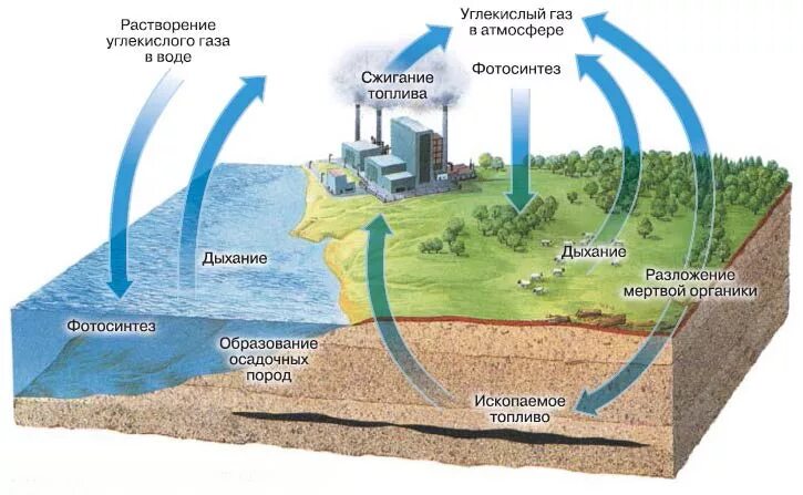 Газы образуют воздух