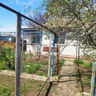Рахинка среднеахтубинский волгоградская область