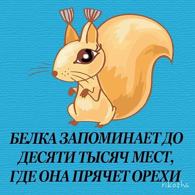 Интересно знать мир фактов. Интересно знать мир фактов. Удивительные факты. Удивительные факты. Это интересно факты.
