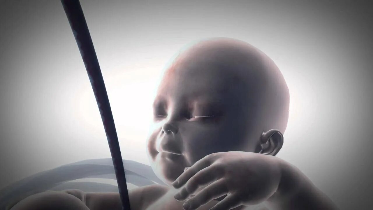Как будет выглядеть младенец в будущем Get Wavey Baby Meinstein слушать онлайн на Яндекс Музыке