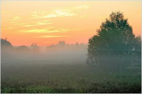 Неясное утро