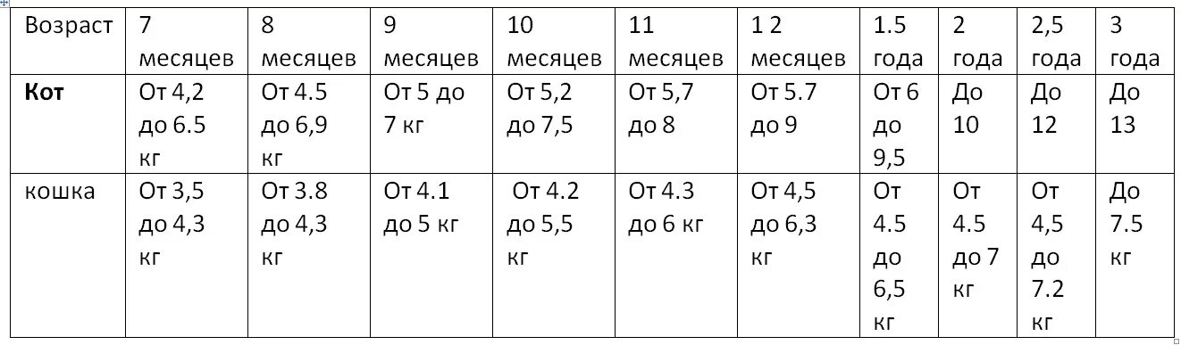 Вес котёнка Мейн кун по месяцам таблица. Вес и Возраст Мейн куна таблица. Мейн кун таблица веса по возрасту. Вес Мейн куна по месяцам таблица.