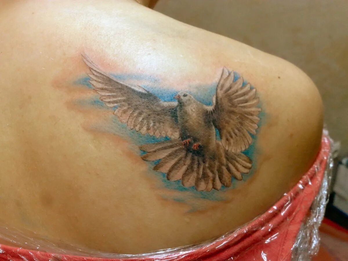 Тату голубь. Тату голубь для девушек. Татуировка голубь. Мужская тату голуби на грудь. Тату голубка.