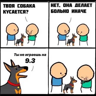 Меня укусил пес которого я бросила 48