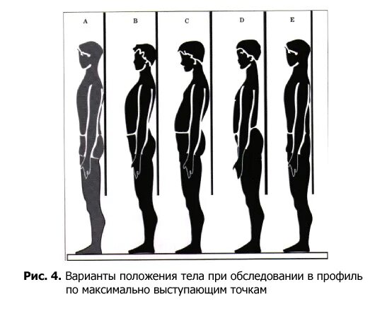 Вертикальное положение тела. Положение тела человека. Горизонтальное положение тела. Вертикальная поза человека.