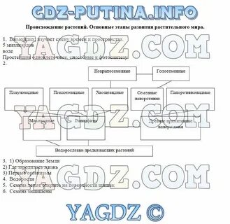 Происхождение растений основные этапы развития