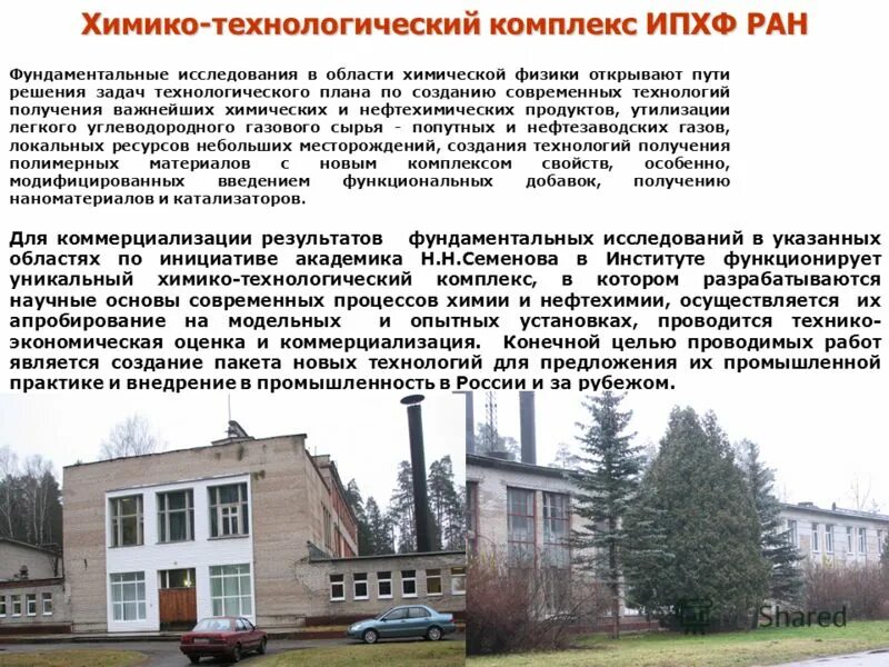 ипхф ран черноголовка