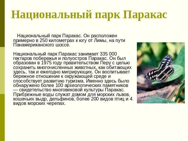 Презентация "Национальные парки мира" - скачать презентации по Экологии