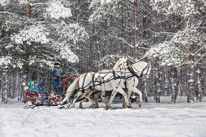 Новогодняя нелжа воронеж. Нелжа 2025. нелжа детский парк. нелжа тюбинг. деревня нелжа.