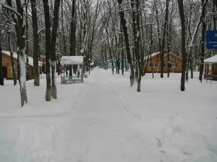 Сокол ачинск