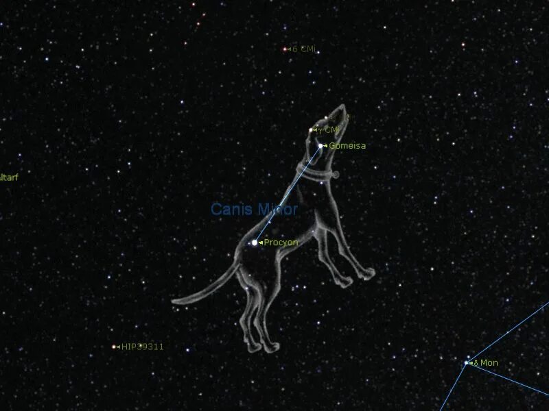 Сириус звезда какого созвездия. Процион Созвездие малого пса. Canis Majoris Созвездие. Сириус звезда большого пса. Процион звезда в созвездии малого пса.
