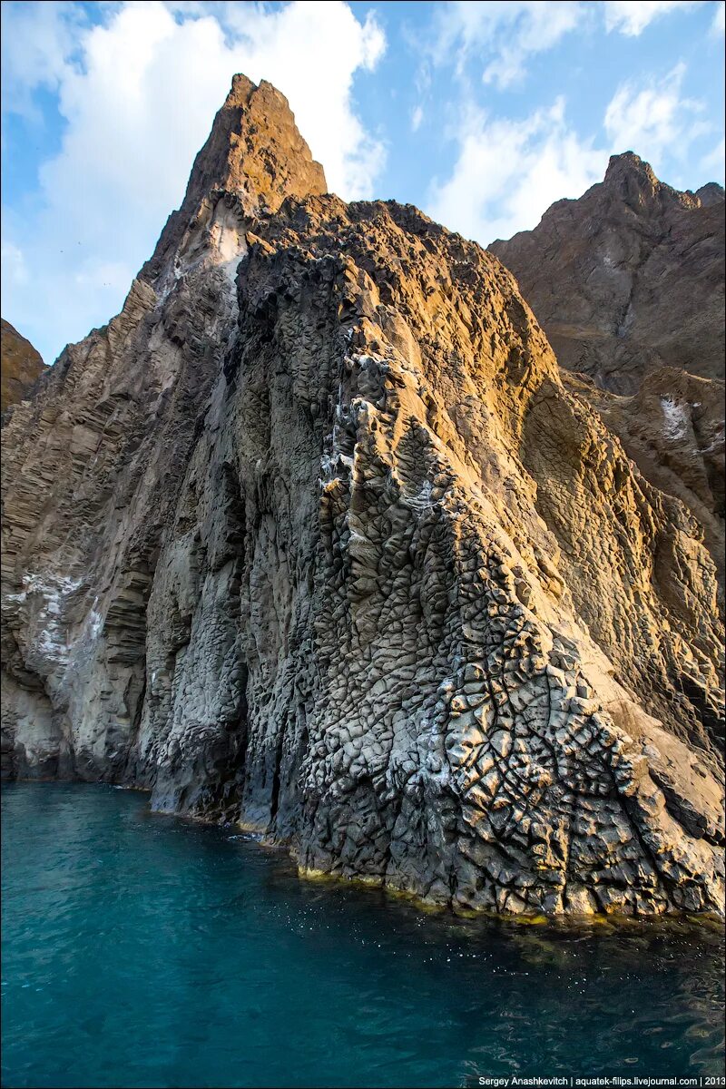 Карадагский заповедник животные. Карадагский змей в черном море. Карадаг окрестности. Карадакский заповедник. Уж кавказского заповедника.