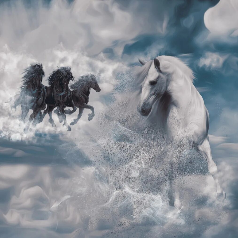 Небесный конь. Белый конь. Лошадь в облаках. Лошадь бежит. Время жизни лошади
