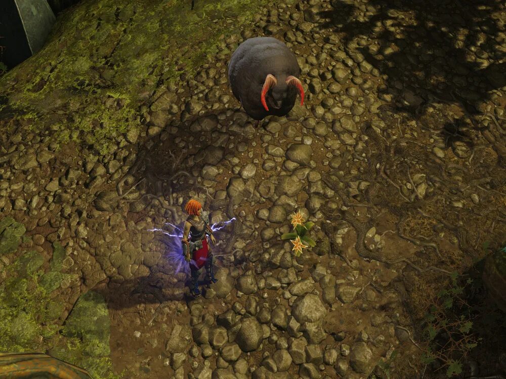 Легенда об овцеоборотне divinity original sin. Пещера порталов divinity original sin. Овца оборотень divinity original. Divinity овца оборотень прохождение. Овца оборотень divinity original sin.