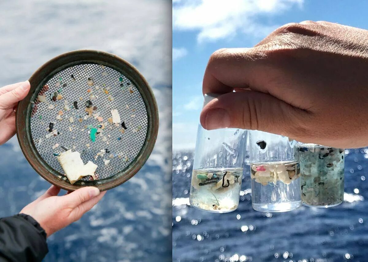 Микро стал. Микропластик в океане. Загрязнение океана микропластиком. Микропластик загрязнение окружающей среды.