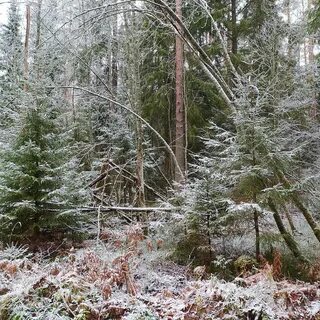 Погода в середине ноября