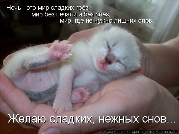 Давай без слез
