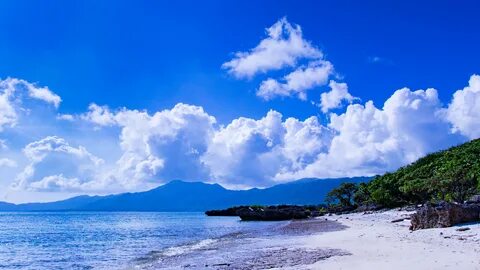 1 4 sea