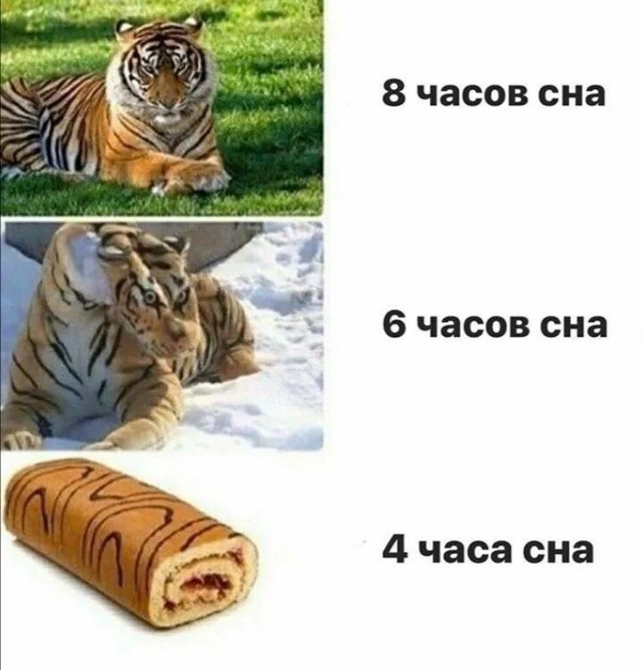 Аааа, блин, сорри. По традиции, вопрос! Успели закончить важное дело? 2016 Антик