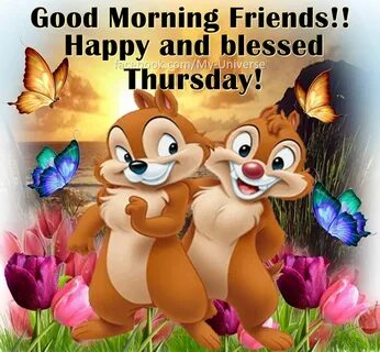 Morning friend