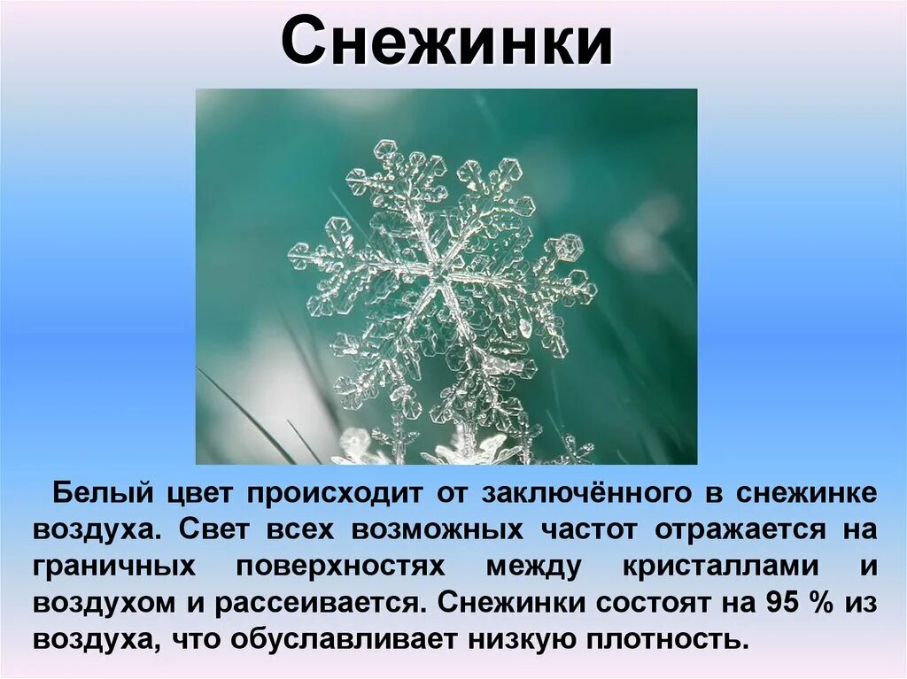 Интересные факты о снежинках. Интересные факты о снеге и снежинках. Интересная информация о снежинках для детей. Интересные факты о снеге. Как образуются снежинки 3