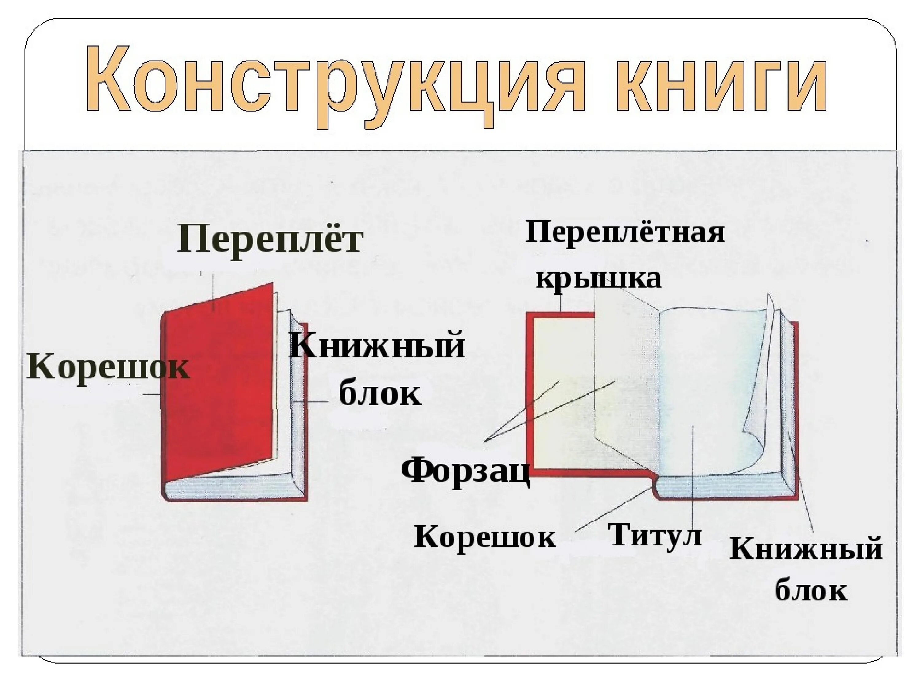 Книга ее назначение. Структура переплета книги. Название частей книги. Элементы обложки книги. Части книги как называются.