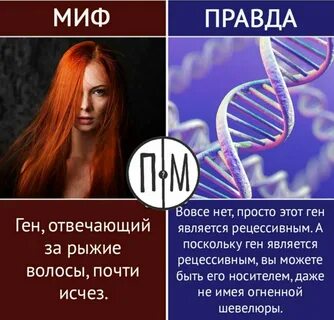 Ген волос