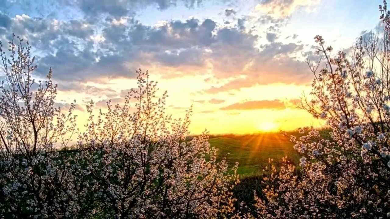 Светлый майский день. Весенний рассвет. Солнечного весеннего утра.