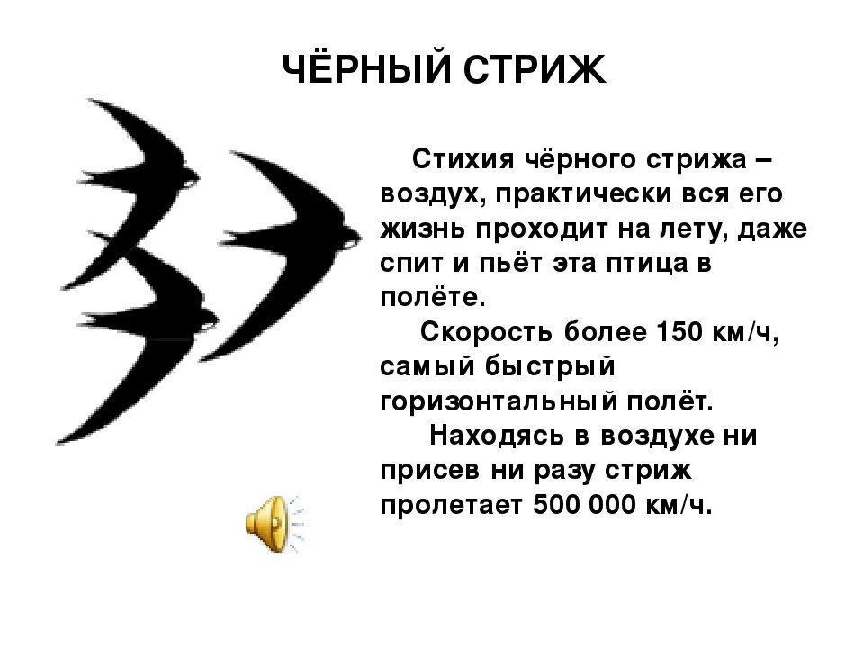 Стрижи прочитать