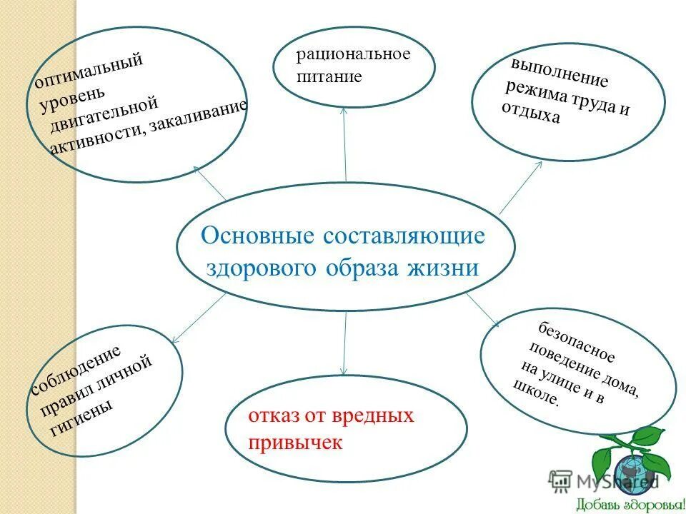 Основные составляющие здорового образа жизни. Составляющие образа жизни. Составляющие здорового образа жизни таблица. Основные элементы здорового образа жизни схема. Составляющие ЗОЖ схема.