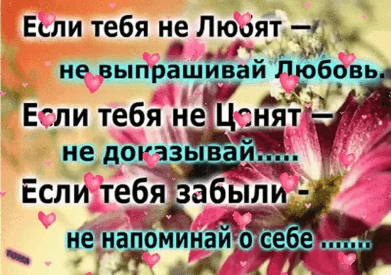 Цитаты не любят не выпрашивай любовь. Не выпрашивай любовь цитаты. Если не любят не выпрашивай. Если вас не любят не выпрашивайте любовь. Если не любят не выпрашивай любовь.