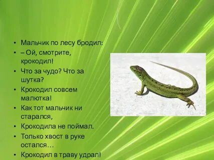 Брод слова