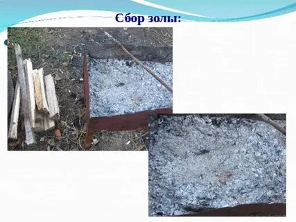 Худшие из золы