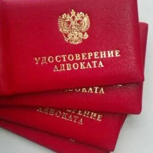Стажер адвоката