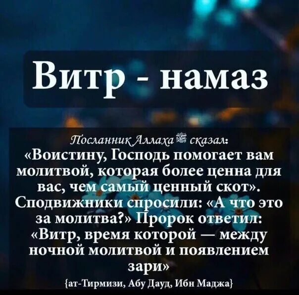 Сунна духа намаз. Витр намаз. Тахаджуд намаз и витр намаз. Как читать ифтар намаз. Как совершается витр намаз.