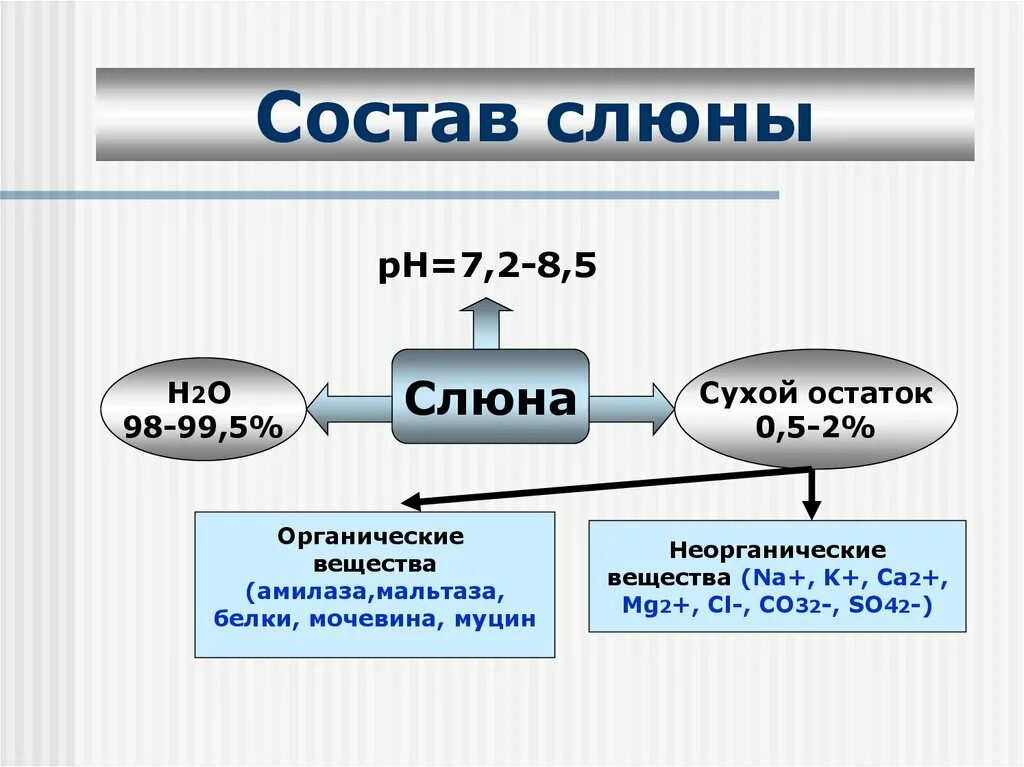 Счет слюна. Состав слюны. Состав и функции слюны. Состав слюны состав. Состав, структура и свойства слюны..