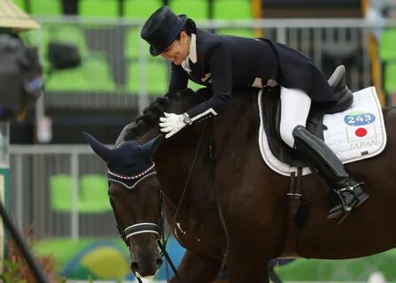 Star equestrian мод