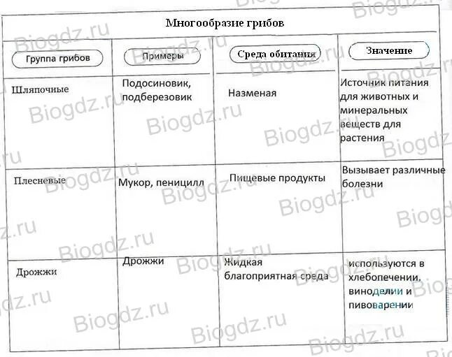 Параграф 14. Многообразие и значение грибов. 5 класс