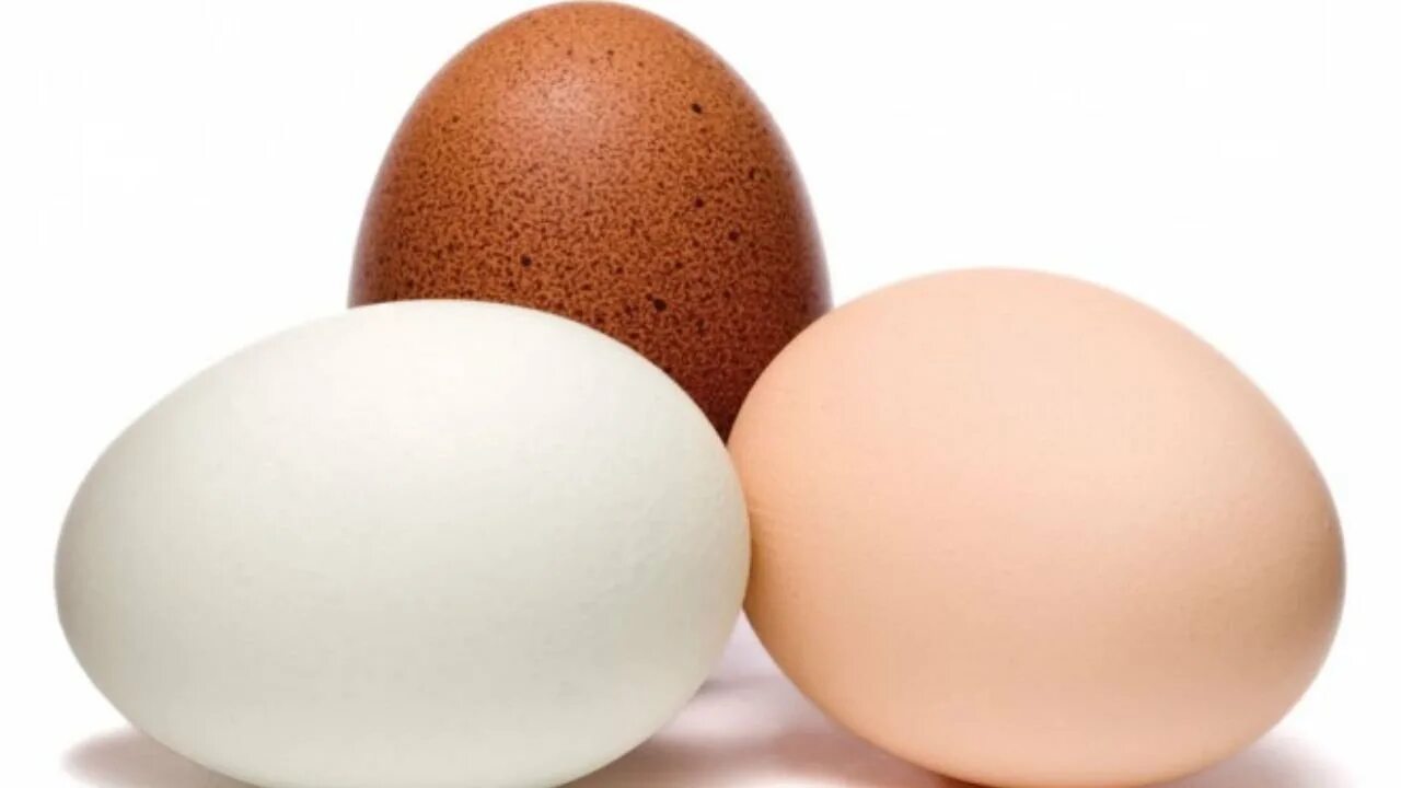 Яйцо. Яйцо куриное. Яйцо куриное на белом фоне. Коричневое яйцо. Кремовые яйца