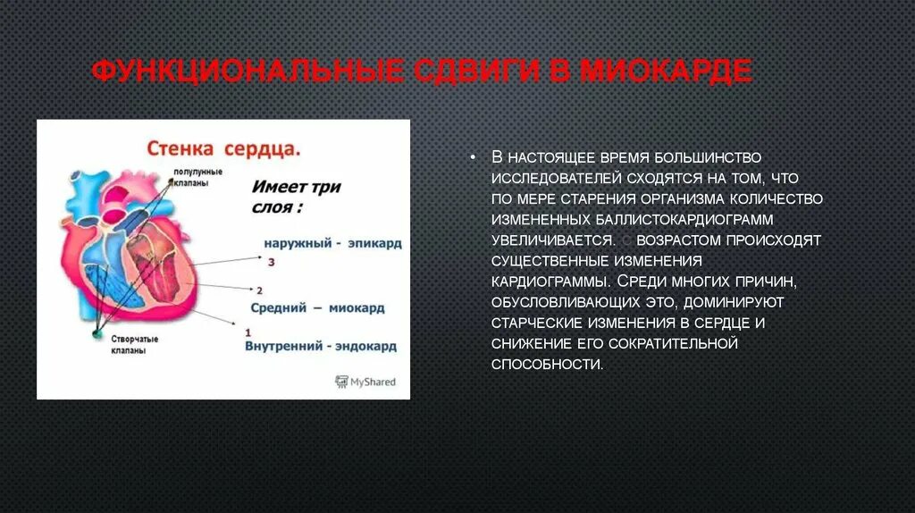 Возрастные изменения сердца. Старение сердечно-сосудистой системы. Возрастные изменения миокарда. Старение сердца.