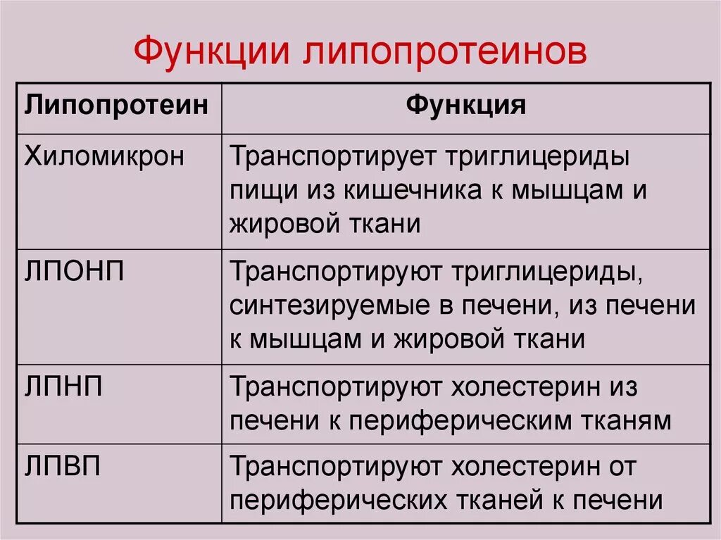 Какие функции выполняют нормы. Лпнп функции. липопротеины функции биохимия. липопротеины низкой плотности функции. функция липопротеинов плазмы крови биохимия.
