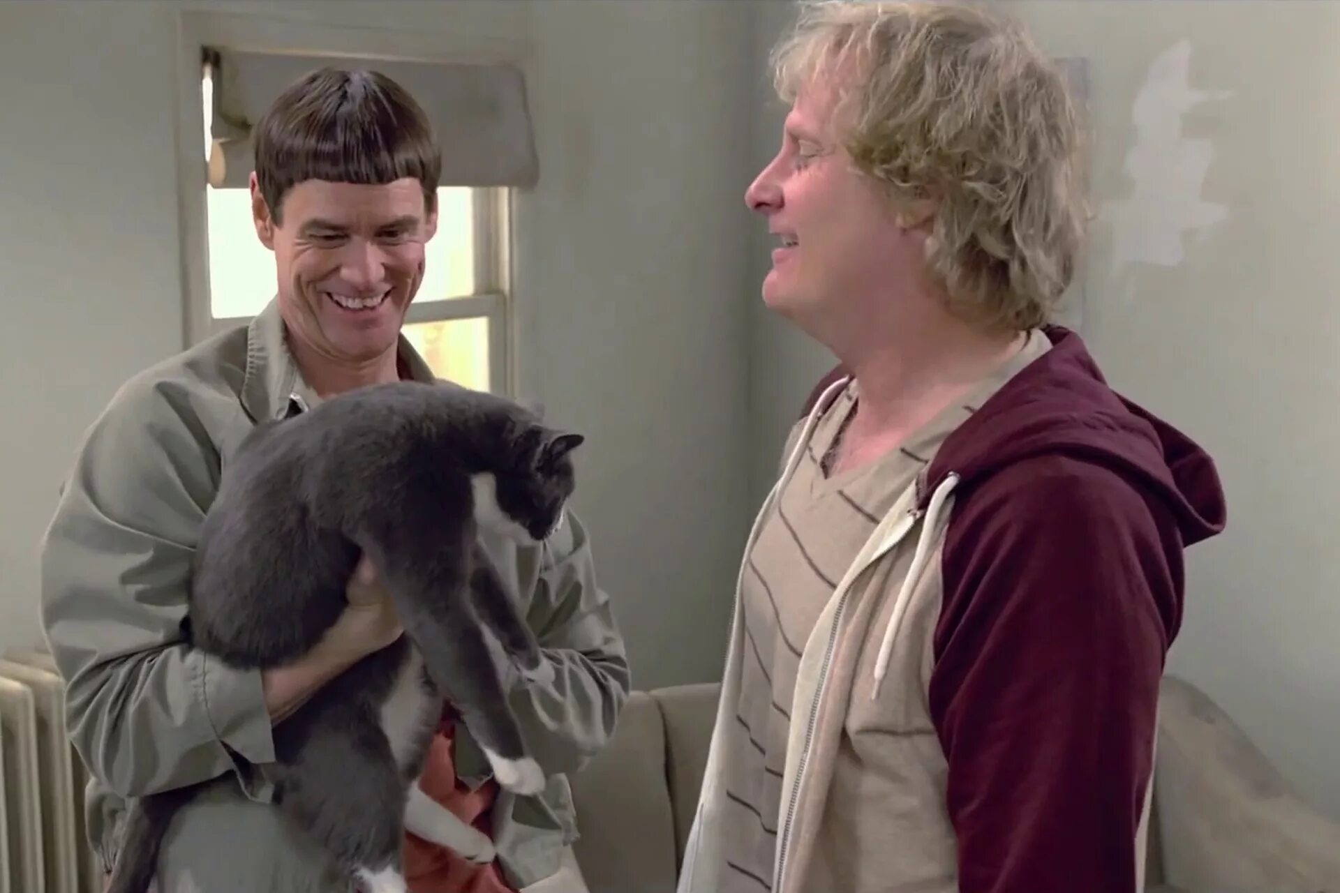 один тупее другого 1. один тупее другого 1. один тупее другого 1.