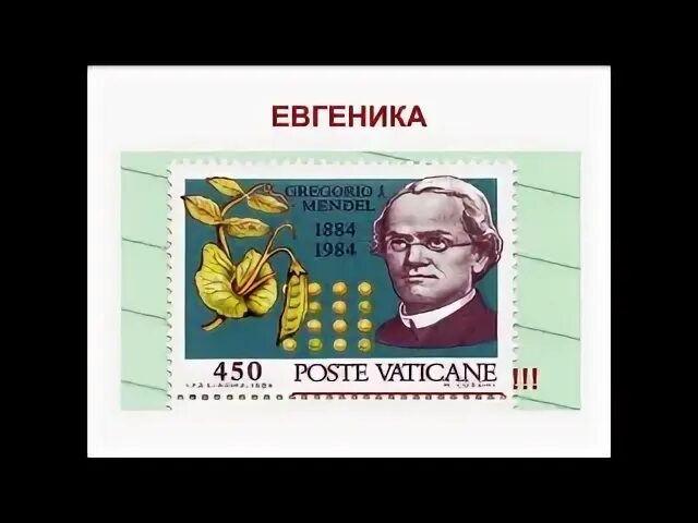 Евгеника песни