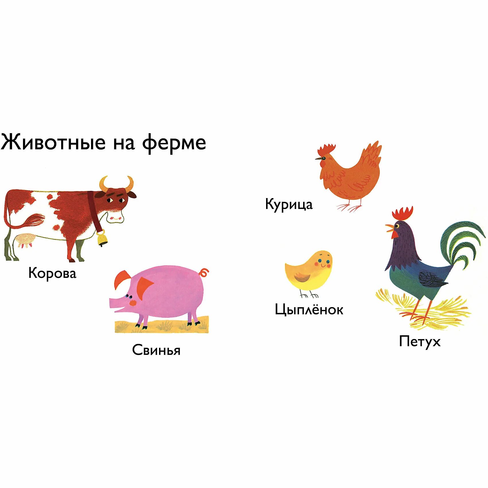 Китайский новый год петух. Год петуха свиньи. Год петуха свиньи. Петух и поросенок. Китайский гороскоп животные.
