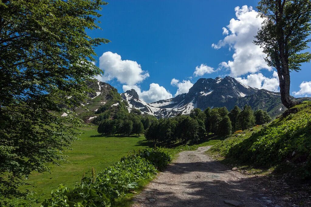 Перевал анчхо. Гагра перевал пыв. Перевал пыв абхазия высота. Перевал пыв абхазия. Гора анчхо абхазия.
