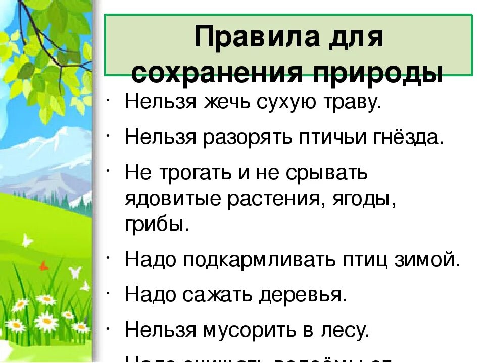 Что нужно делать для природы. Правила сохранения природы. Советы для сохранения природы. Советы об охране природы. Что можно сделать для сохранения природы.