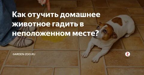 Как отучить писать ночью