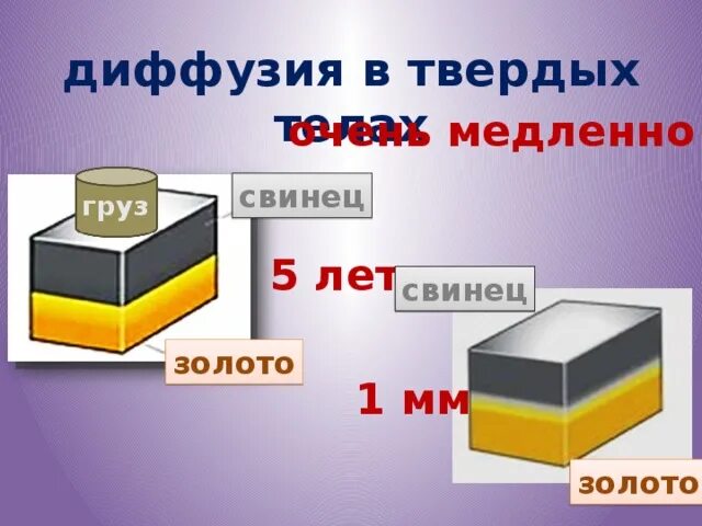 Диффузия между твердыми телами. Диффузия в твердых телах. диффузия золота и свинца. диффузия в твердых телах опыт. диффузия в твердом теле.