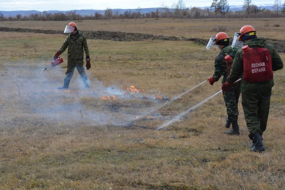 Тушение пожаров лесных пожаров отжигом. Пуск встречного огня отжиг. тушение лесных пожаров отжигом. тушение лесных пожаров встречным огнем. тушение лесного пожара встречным палом.